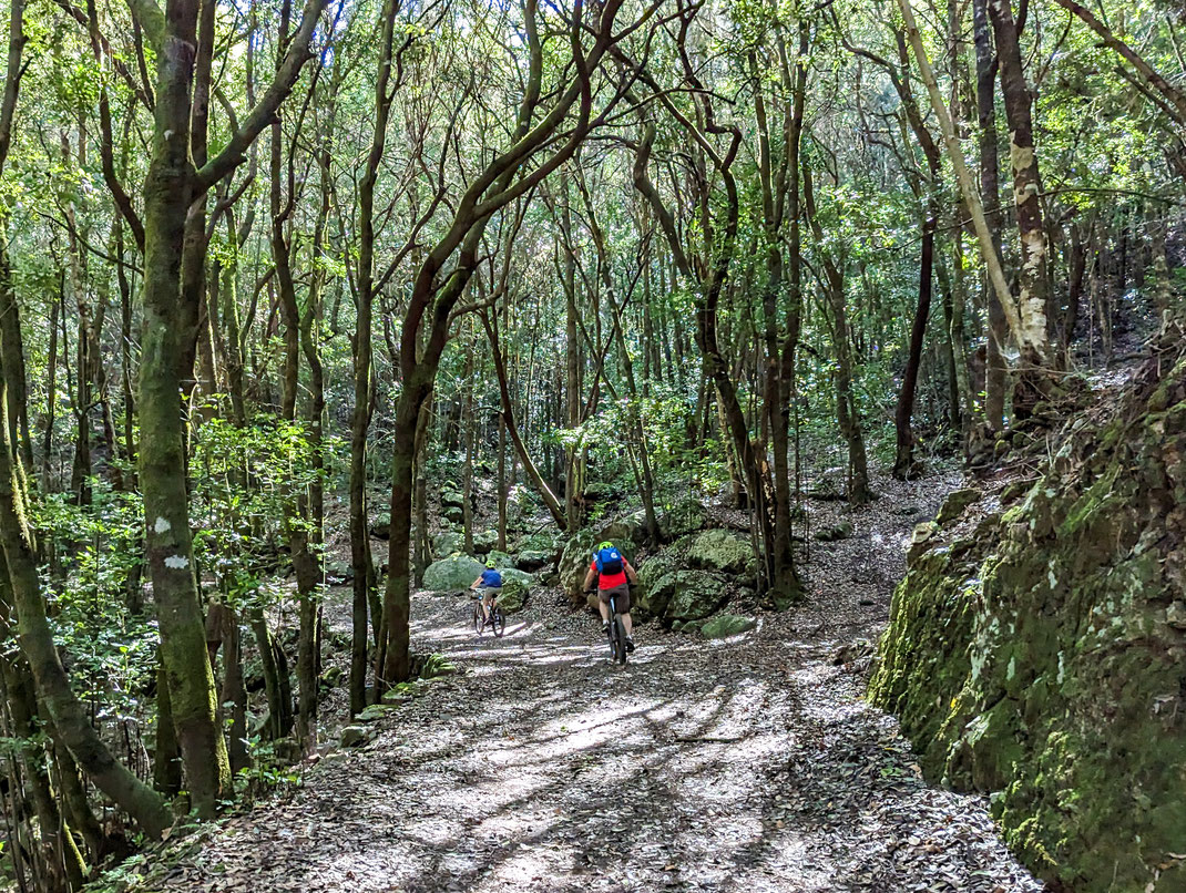 Into the green